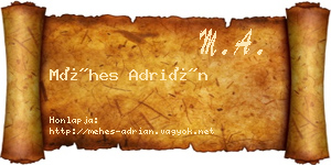 Méhes Adrián névjegykártya